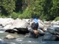 Icicle River Fly Fishing
