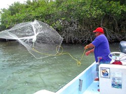 Belize Bobby Casting Net