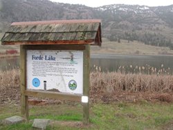 Forde Lake View