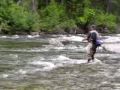 Fly Fishing on the Icicle July 9,2009