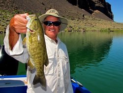 Banks Smallmouth Dennis web