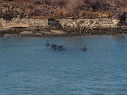 Columbia Below Rock Island