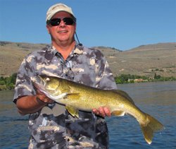 Chief Joe Rich Brown Walleye