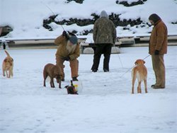 Coulee City Marina Late Dec. Perch