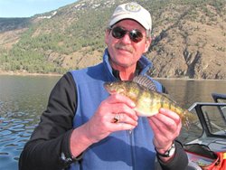 Palmer Lake Rick Perch