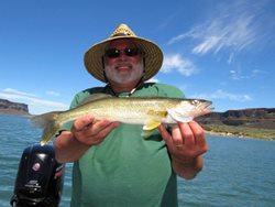 Banks-Jim-Harrington