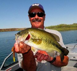 Evergreen Largemouth