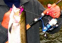 Abu Garcia Soron Spinning Reel