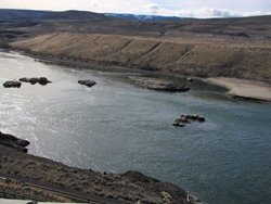Columbia at Rock Island Dam