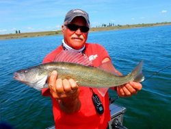 Moses-Lake-Brian-Walleye-web
