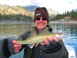 Northport Rollie Walleye