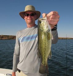 Evergreen-Jerry-Largemouth