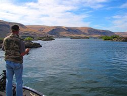 Fish Camp Michael Gibney