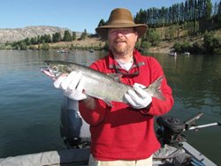 Brewster Kevin Winters