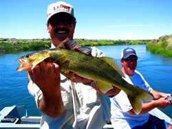 Long Lake Me Walleye 2 web