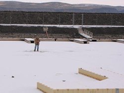 Coulee City Marina Ice Angler