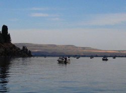 Brewster Sockeye Fleet