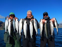 L-Roos-Limits-Rick-Poyer-Keith-Holt