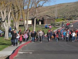 ML Derby fishing web