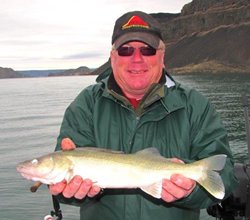 Banks Bob Walleye