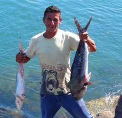Loreto Roosterfish