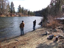 Wenatchee Steelhead Anglers