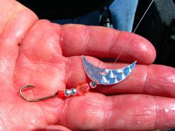 Fish Lake High Lakes Special