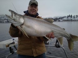 Colyar State Record Laker