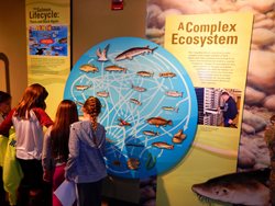 Grant-PUD-Visitors-Center-Kids