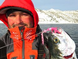 L-Roos-Trout-with-Kokabow-Squid-(1)