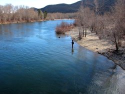 Sleepy Hollow Angler