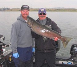 Vernita Shane and Me web