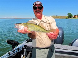 Moses Lake Walleye Me