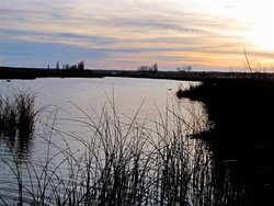Rocky Ford Dec. Evening 2