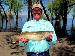 Potholes Me at Mar Don