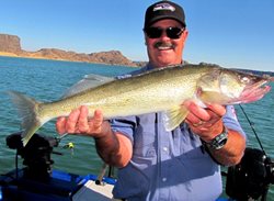 Banks-Me-Walleye-web