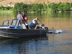 Chelan Falls Net web