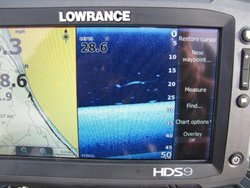 Potholes Lowrance Image