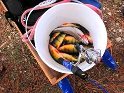 Fish Lake Bucket