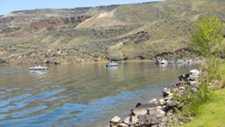 Trippin' with the Triploids Drby 043