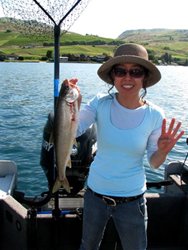 Lake Chelan Musik Johnston Laker