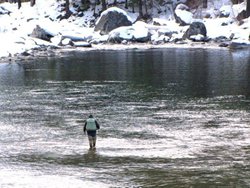 Tumwater Angler