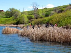 Roses Lake Bank Anglers
