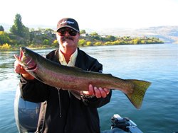 B-Port Steelhead Bridge Hole