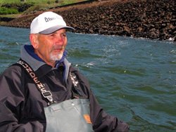 Springers Dub Burnam