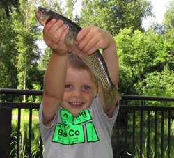 TU-Blackbird-I-Pond-Boy