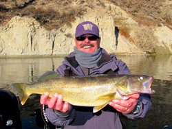 Rufus Woods Walleye Me