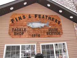 CDA Fins and Feathers