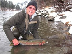 Wenatchee Rollie Wild Fish