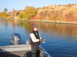 B-Port Tom Verschueren